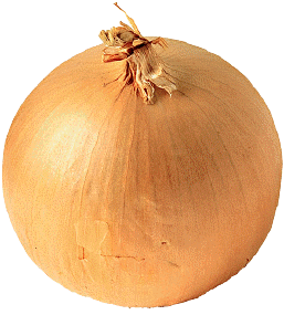 onion.gif